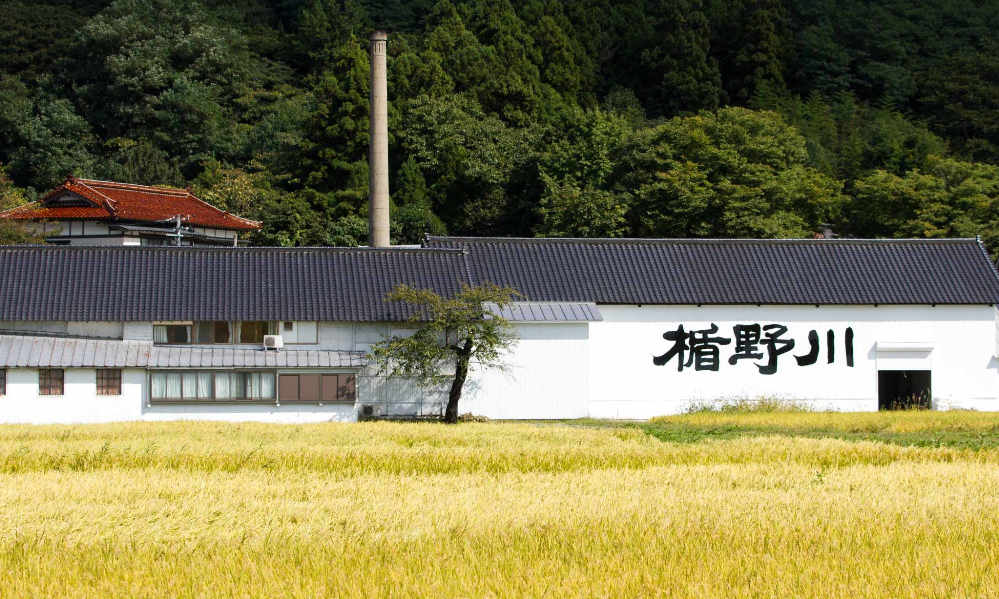 全量純米大吟醸　プレミアム日本酒「楯野川」蔵元ブログ