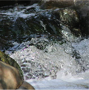 The smoothest texture comes from the ultra-soft water
