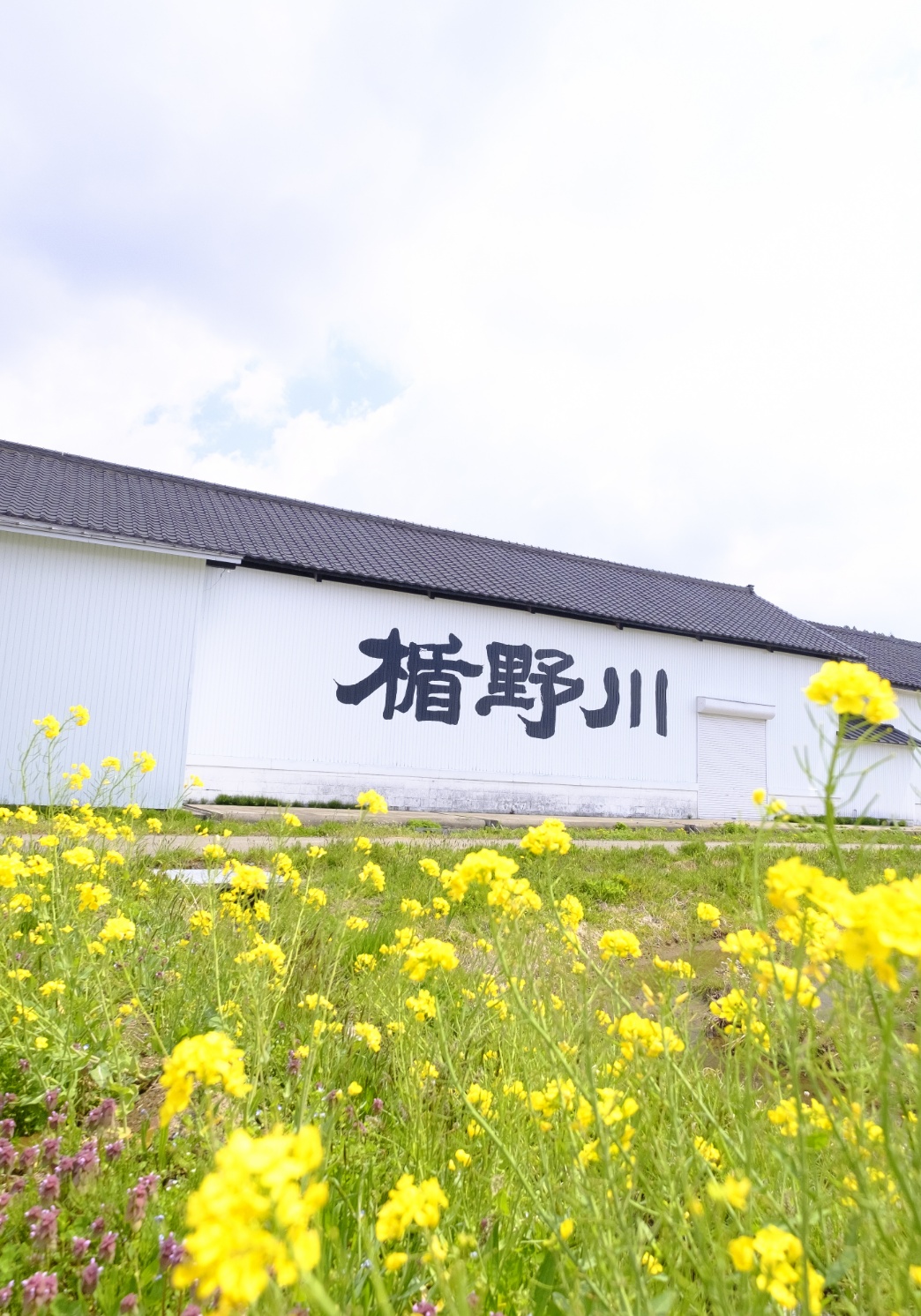 写真：佐藤淳平